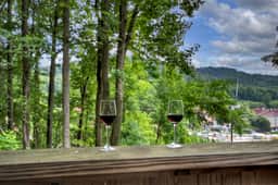 Hot Tub, Game Room, Sauna & Views! Walk 2 Downtown - Image 5